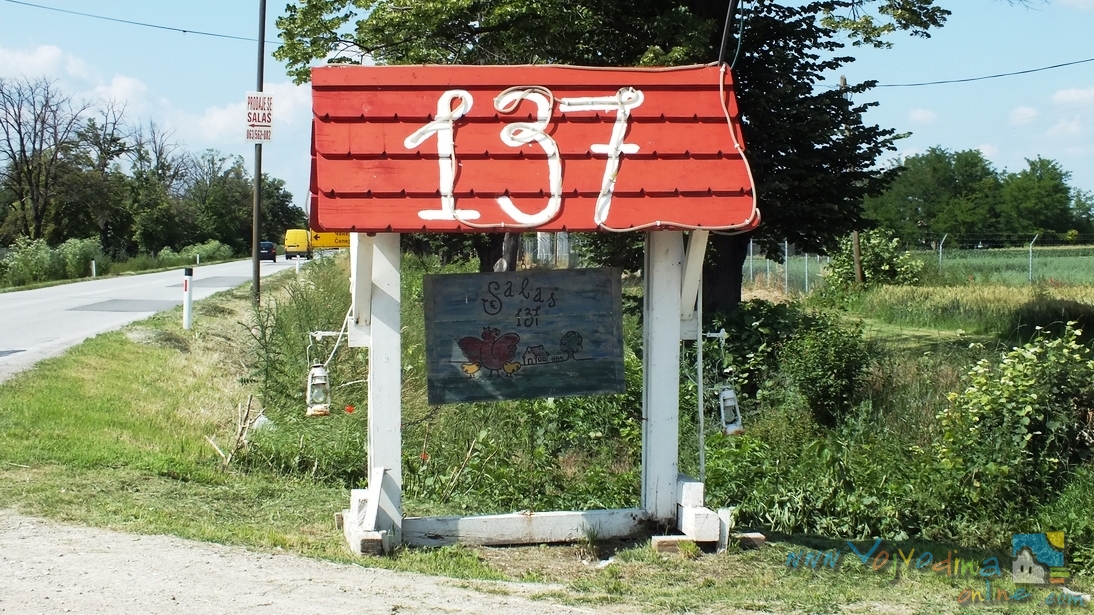 SALAŠ 137 - Čenej
