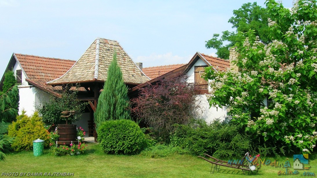 SALAŠ 