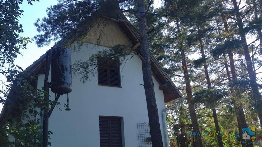 SEOSKO DOMAĆINSTVO ''MARTIN HOUSE''- Kovin